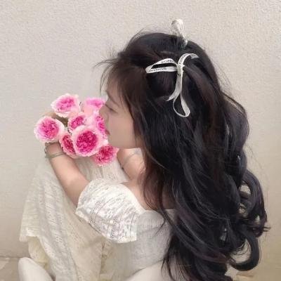 阴谋：作家之死